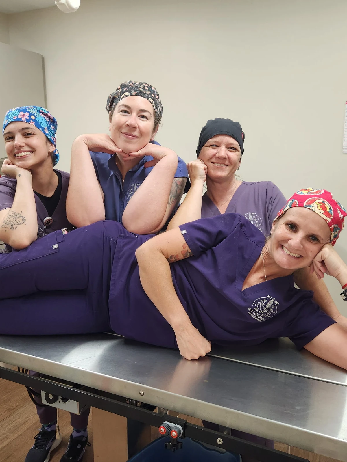 Members of the specialist surgical team who work alongside the Gregory Veterinary Clinic doctors